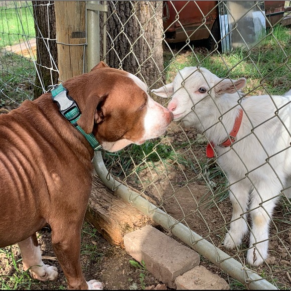 Meet your Posher, Kate - Picture 9 of 13